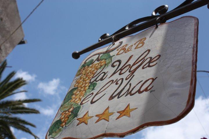 La Volpe E L'Uva B&B Piazza Armerina Exterior photo