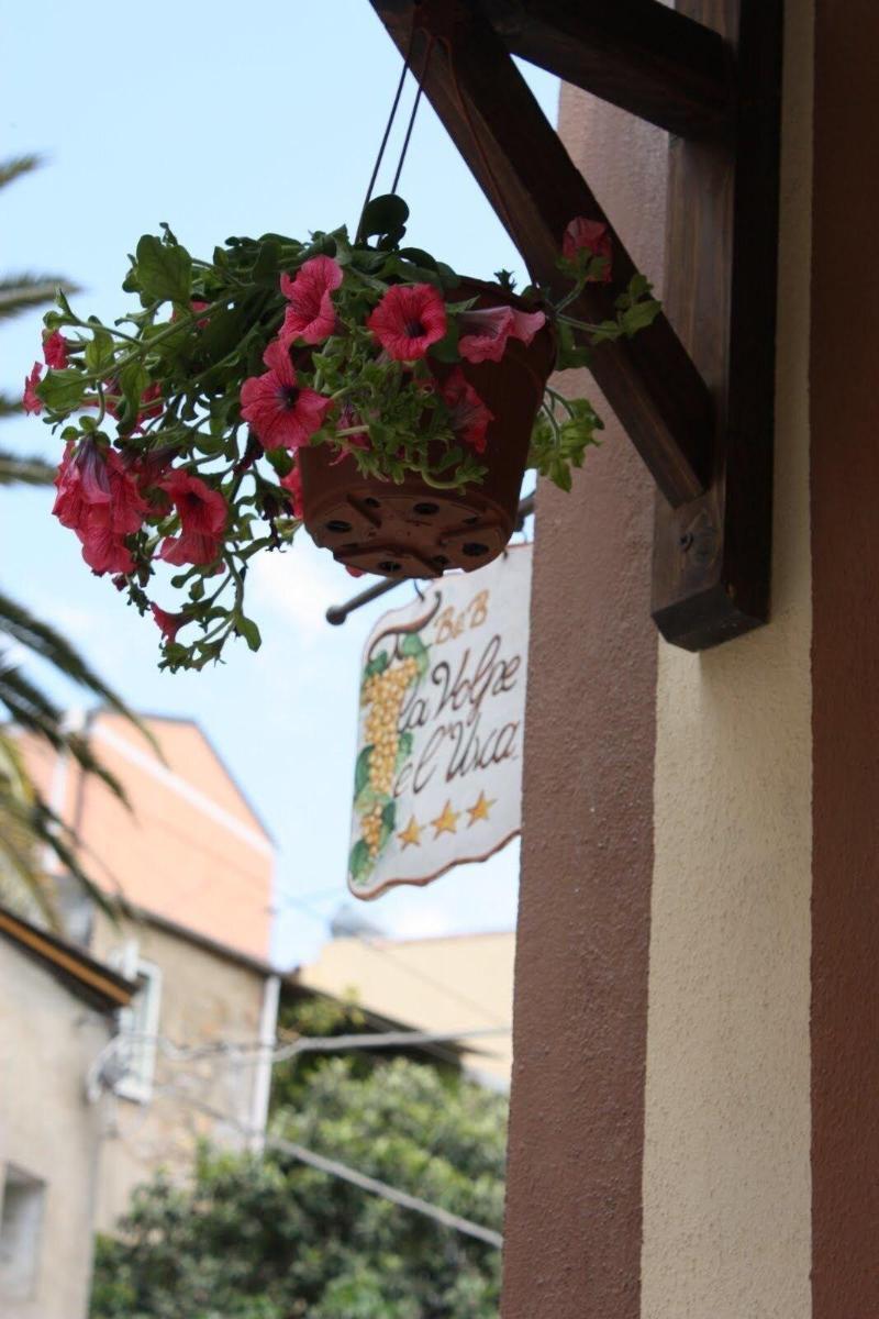 La Volpe E L'Uva B&B Piazza Armerina Exterior photo