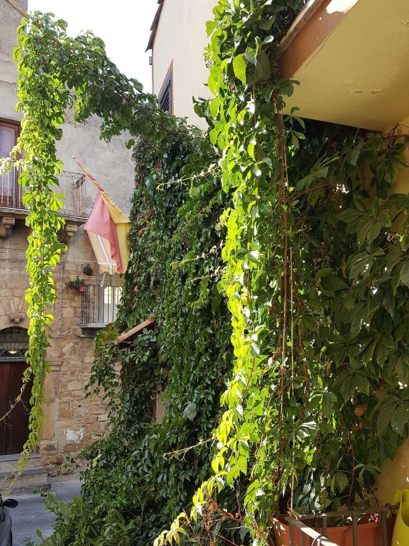 La Volpe E L'Uva B&B Piazza Armerina Exterior photo